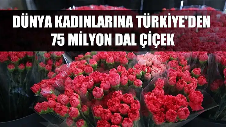 Dünya kadınlarına Türkiye'den 75 milyon dal çiçek