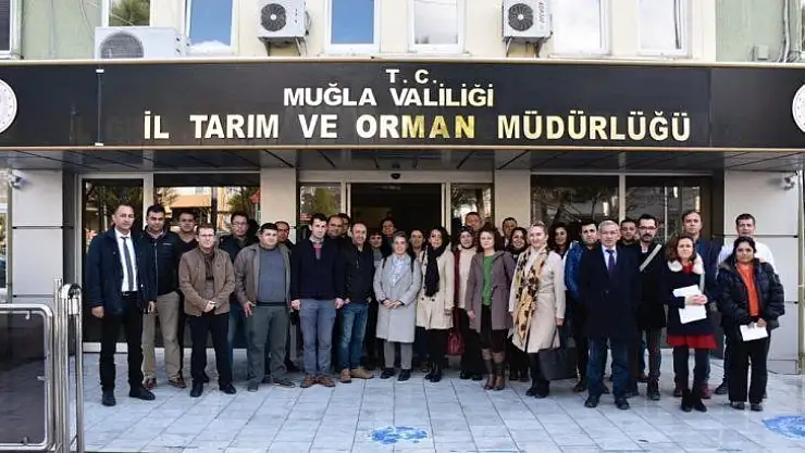 Eğiticilere 'zeytinde budama' eğitimi verildi