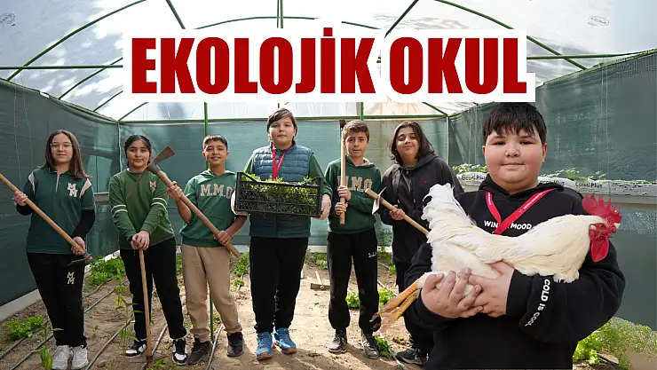 Ekolojik okul