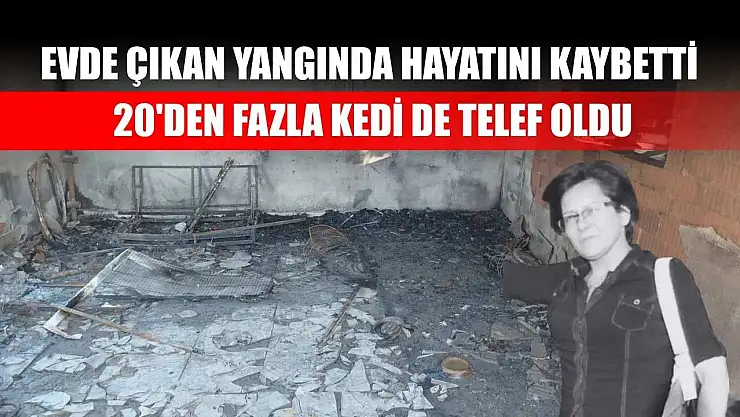 Evde çıkan yangında hayatını kaybetti, 20'den fazla kedi de telef oldu