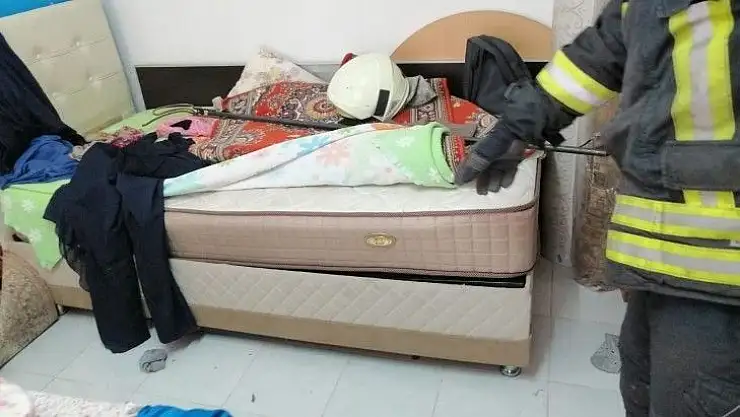 Eve giren yılanı itfaiye yakaladı