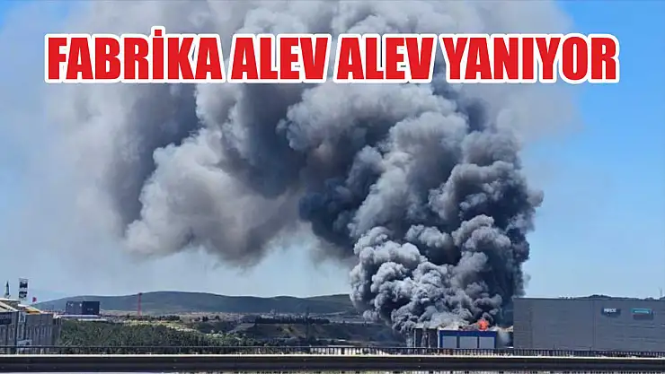 Fabrika alev alev yanıyor