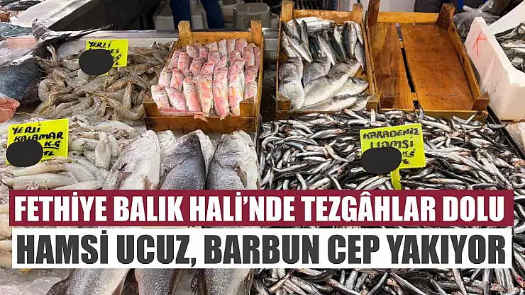 Fethiye Balık Hali'nde tezgâhlar dolu: Hamsi ucuz, Barbun cep yakıyor