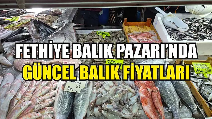 Fethiye Balık Pazarı'nda güncel balık fiyatları