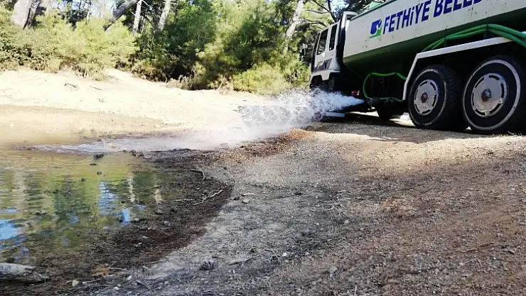 Fethiye Belediyesi'nden Yabani Hayvanlara Su