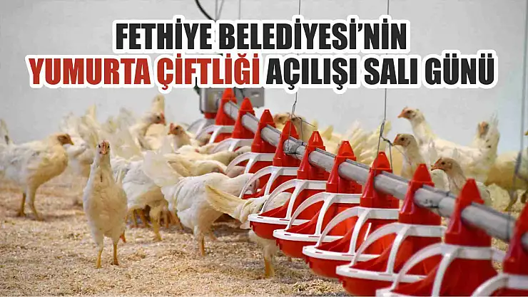 Fethiye Belediyesi'nin Yumurta Çiftliği Açılışı Salı Günü