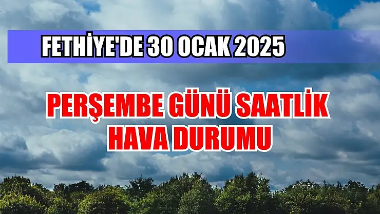 Fethiye'de 30 Ocak 2025 Perşembe Günü Saatlik Hava Durumu