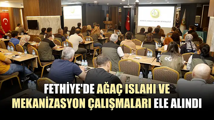 Fethiye'de ağaç ıslahı ve mekanizasyon çalışmaları ele alındı