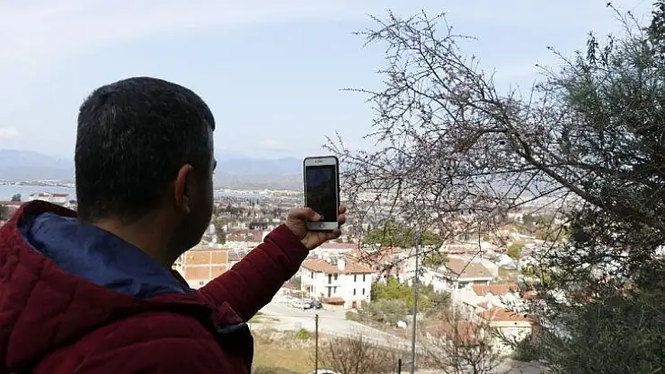Fethiye'de bademler çiçek açtı