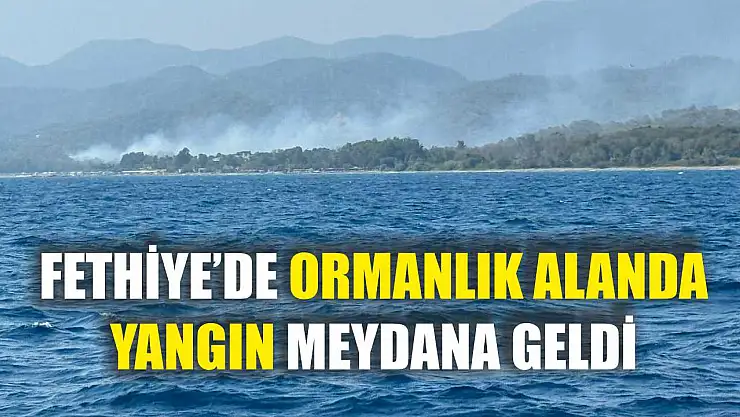 Fethiye'de Ormanlık Alanda Yangın Meydana Geldi