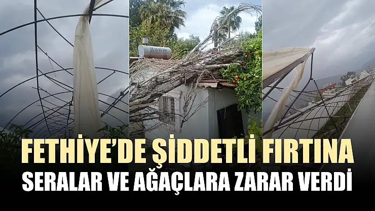 Fethiye'de şiddetli fırtına seralar ve ağaçlara zarar verdi