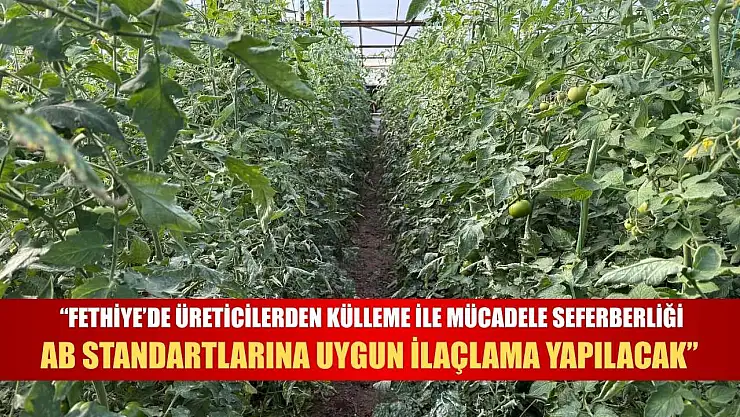 'Fethiye'de üreticilerden külleme ile mücadele seferberliği: AB Standartlarına uygun ilaçlama yapılacak'