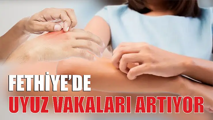 Fethiye'de Uyuz Vakaları Artıyor 