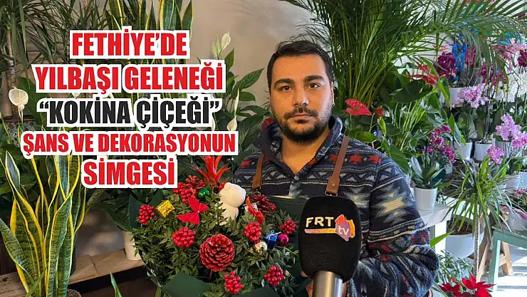 Fethiye'de yılbaşı geleneği: 'Kokina Çiçeği' şans ve dekorasyonun simgesi