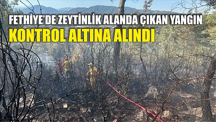 Fethiye'de zeytinlik alanda çıkan yangın kontrol altına alındı