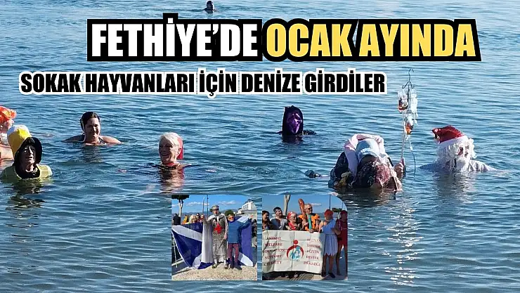 Fethiye'de Ocak Ayında Sokak Hayvanları İçin Denize Girdiler