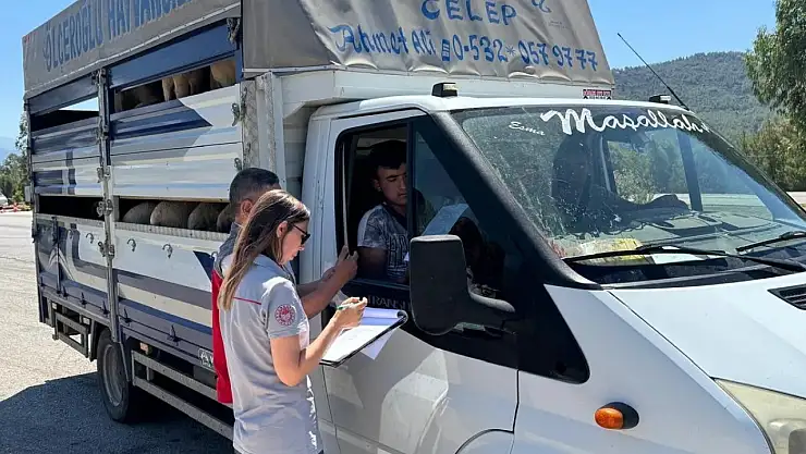 Fethiye İlçe Tarım'dan kurbanlık kontrolü