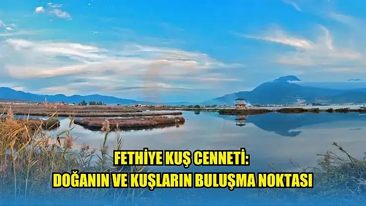 Fethiye Kuş Cenneti: Doğanın ve Kuşların Buluşma Noktası