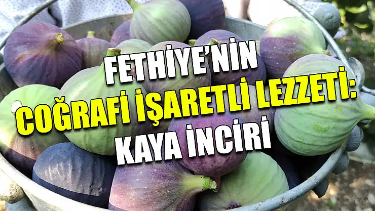 Fethiye'nin coğrafi işaretli lezzeti: Kaya İnciri