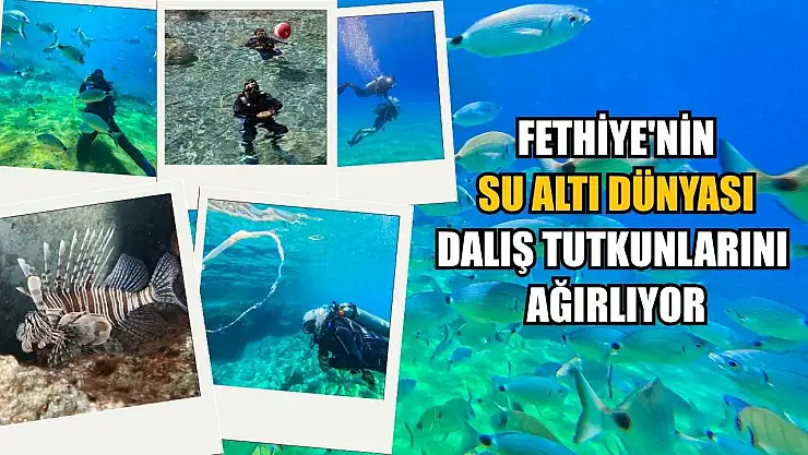 Fethiye'nin su altı dünyası dalış tutkunlarını ağırlıyor