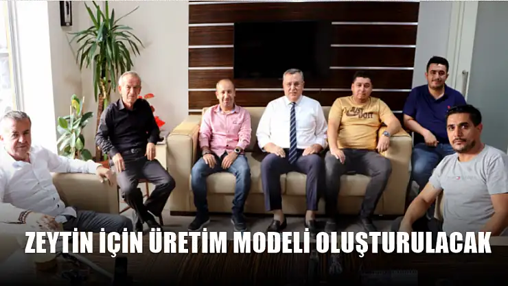 Fethiye ve Seydikemer zeytini için üretim modeli oluşturulacak