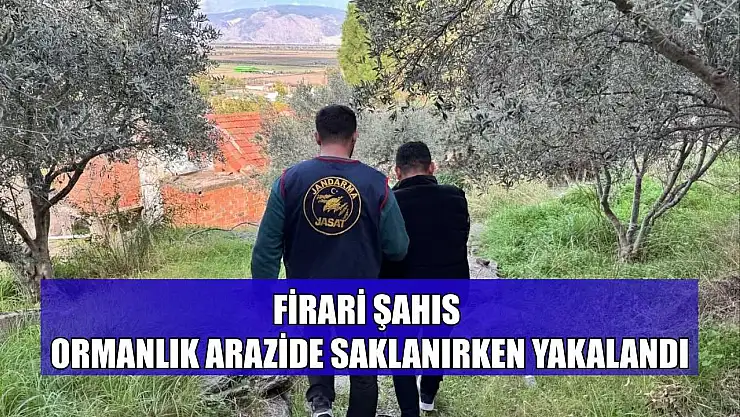 Firari şahıs ormanlık arazide saklanırken yakalandı