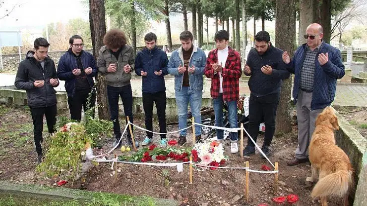 Güleda'ya hüzünlü doğum günü