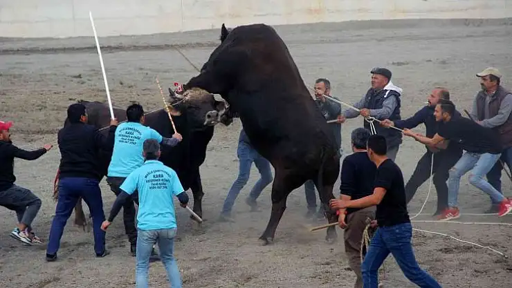 Güreşlerin geliri kimsesiz çocuklara
