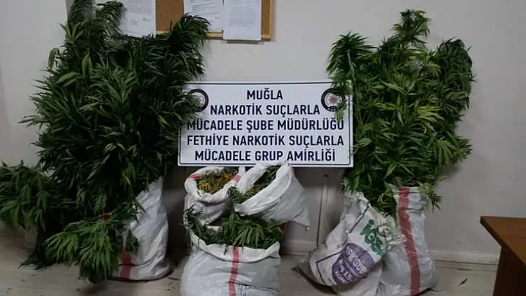 Seydikemer İlçesi'nde Uyuşturucu Operasyonu