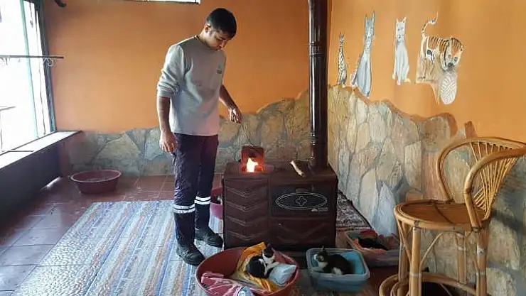 FETHİYE'DE KIŞ AYINDA SOKAK HAYVANLARININ KEYFİ YERİNDE