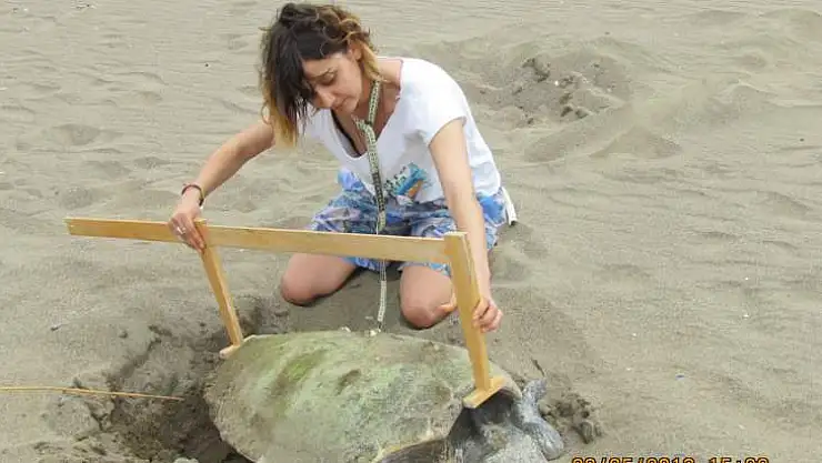 EMRE ' 9 SAATTE CARETTA CARETTA KAPLUMBAĞALARI KULLANSIN'