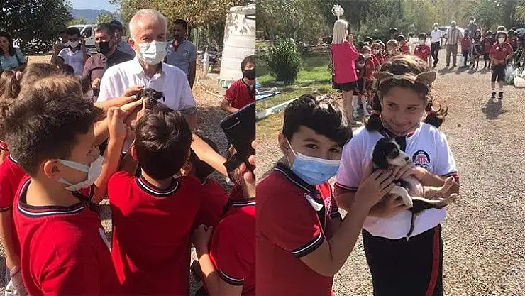 Hayvanları Koruma Gününde farkındalık için mama dağıttılar