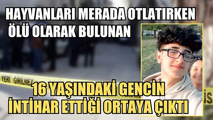 Hayvanları merada otlatırken ölü olarak bulunan 16 yaşındaki gencin intihar ettiği ortaya çıktı