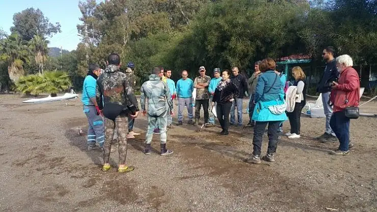 Hisarönün'de kış temizliği