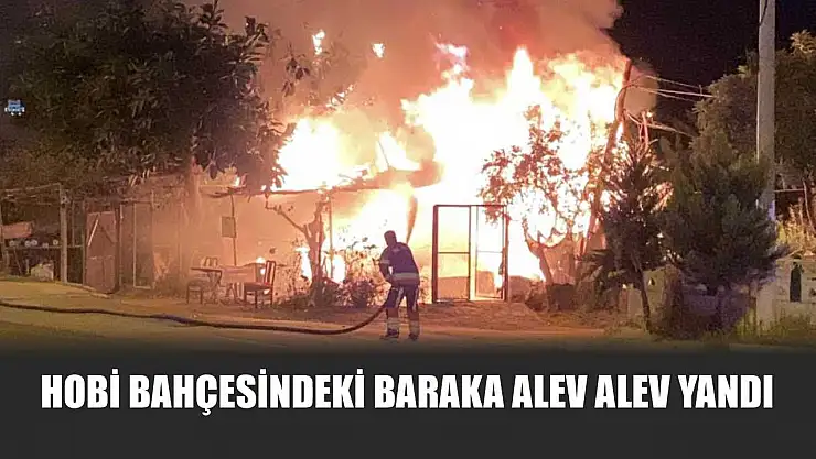 Hobi bahçesindeki baraka alev alev yandı