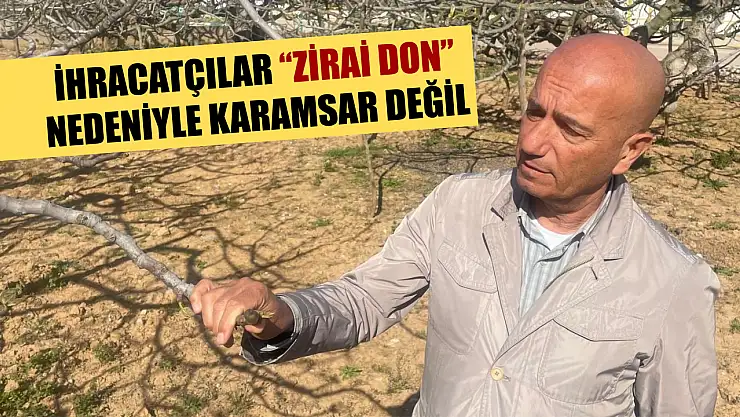İhracatçılar 'zirai don' nedeniyle karamsar değil