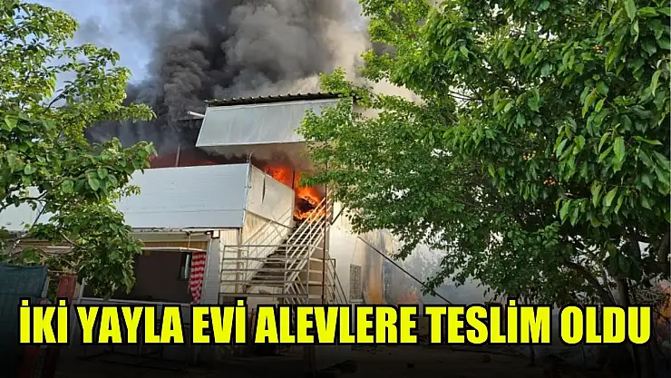İki yayla evi alevlere teslim oldu