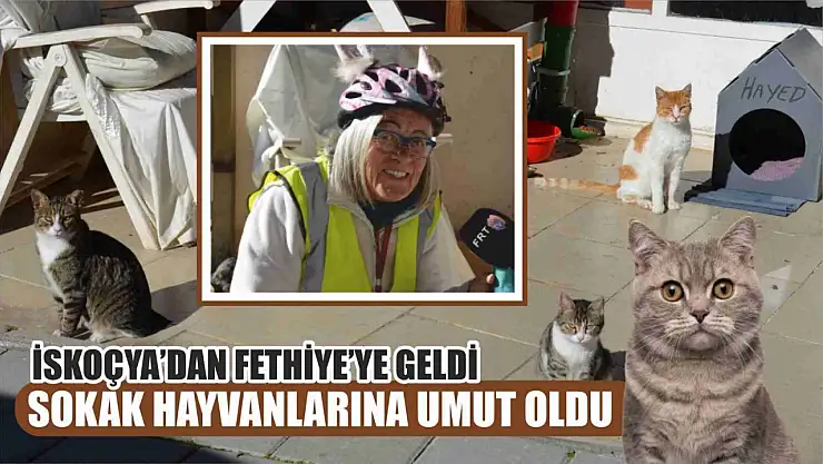 İskoçya'dan Fethiye'ye Geldi, Sokak Hayvanlarına Umut Oldu