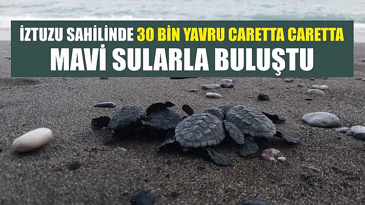 İztuzu sahilinde 30 bin yavru caretta caretta mavi sularla buluştu