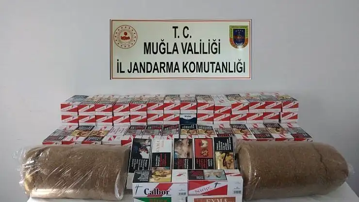 Jandarmadan kaçak sigara operasyonu