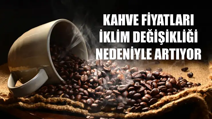 Kahve fiyatları iklim değişikliği nedeniyle artıyor