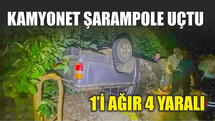 Kamyonet şarampole uçtu: 1'i ağır 4 yaralı
