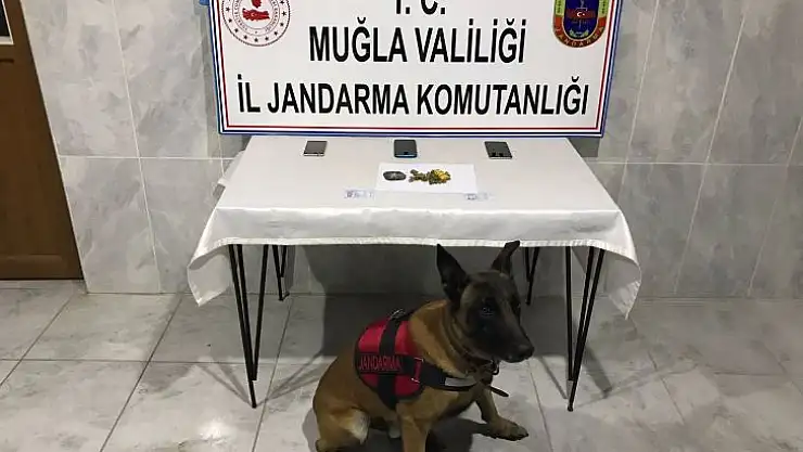 Kaptan'dan kaçamadılar