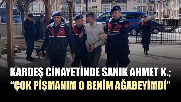 Kardeş cinayetinde sanık Ahmet K. 'Çok pişmanım o benim ağabeyimdi'