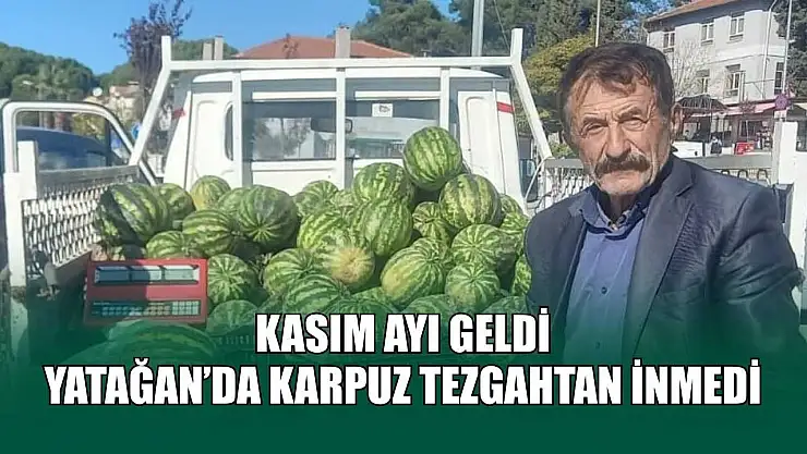 Kasım ayı geldi, Yatağan'da karpuz tezgahtan inmedi