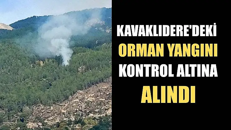 Kavaklıdere'deki orman yangını kontrol altına alındı