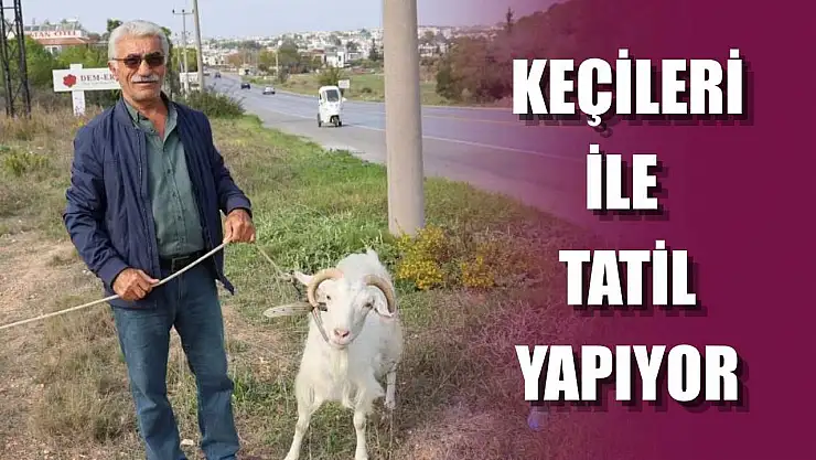 Keçileri ile tatil yapıyor