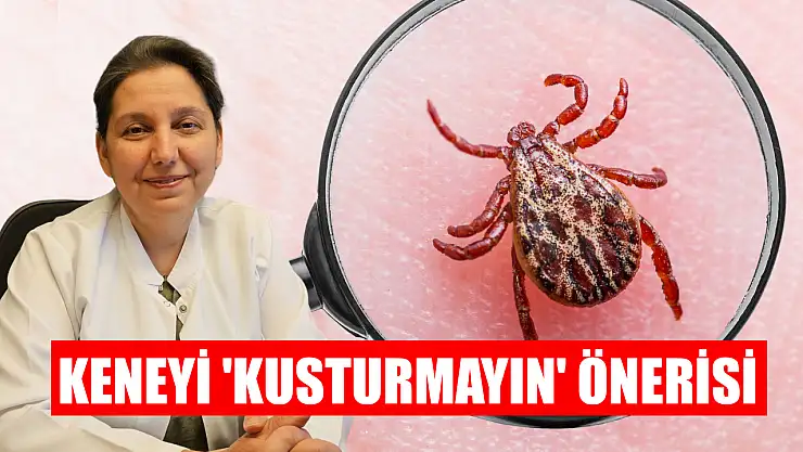 Keneyi 'kusturmayın' önerisi