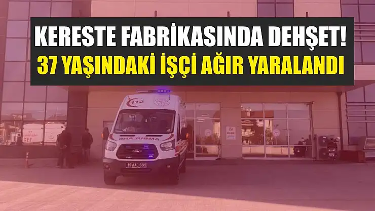 Kereste Fabrikasında Dehşet! 37 Yaşındaki İşçi Ağır Yaralandı