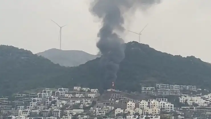 Konteyner alevlere teslim oldu